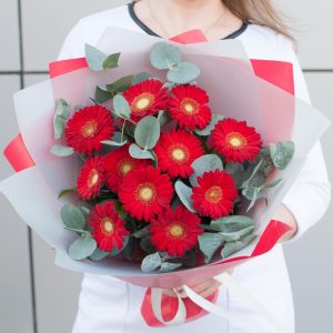 Терра Сенсей