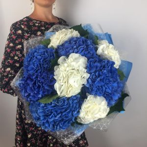 Море и облака