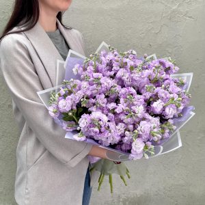 Арома Маттиола