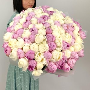 Роскошь из 101 пиона