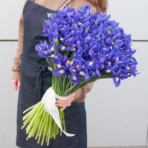 Ирисовый сад