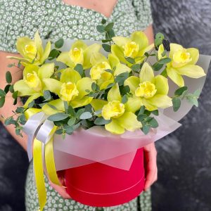 Коробка зелёных орхидей