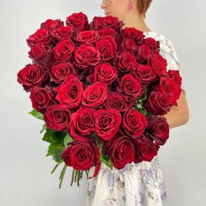 Роза Эксплорер 45 шт