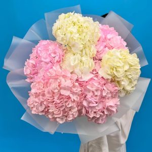 Чарующее эхо