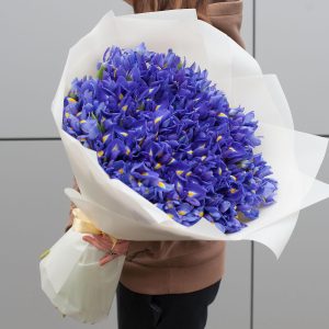 Пленительные ирисы