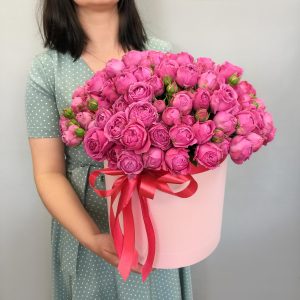 Миссис Мисти