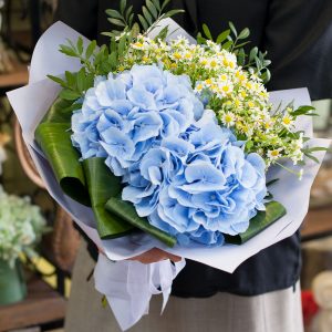 Ромашковые небеса