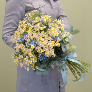 Ромашки-незабудки