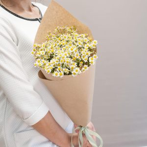 Ромашковый комплимент