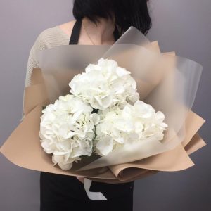 Снежная вата