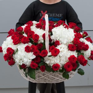 Вива ла Вита