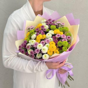 Сантини Фреш