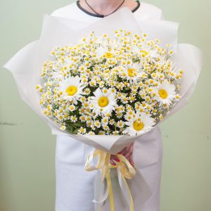 Ромашковый сюрприз