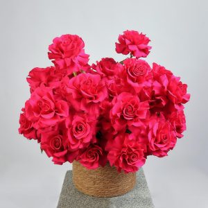 Трогательный взгляд