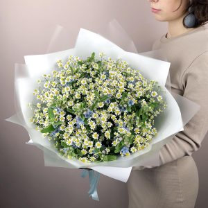 Ромашки и незабудки