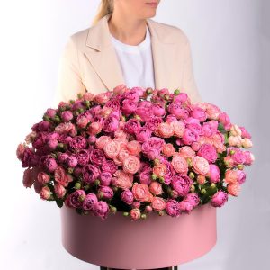 Приключения Амура