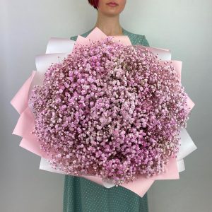 Анисия