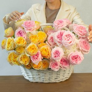 Райская птица