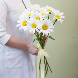 Милые ромашки