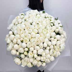 Облако из 151 белого пиона