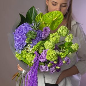 Мадагаскарская комета