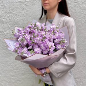 Маттиоловый рай мини