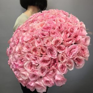 Мистер Дарси