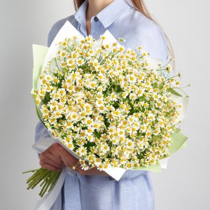 Букетик ромашек