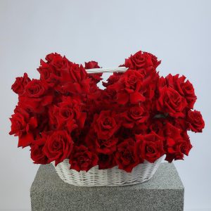 Искушенный красотой