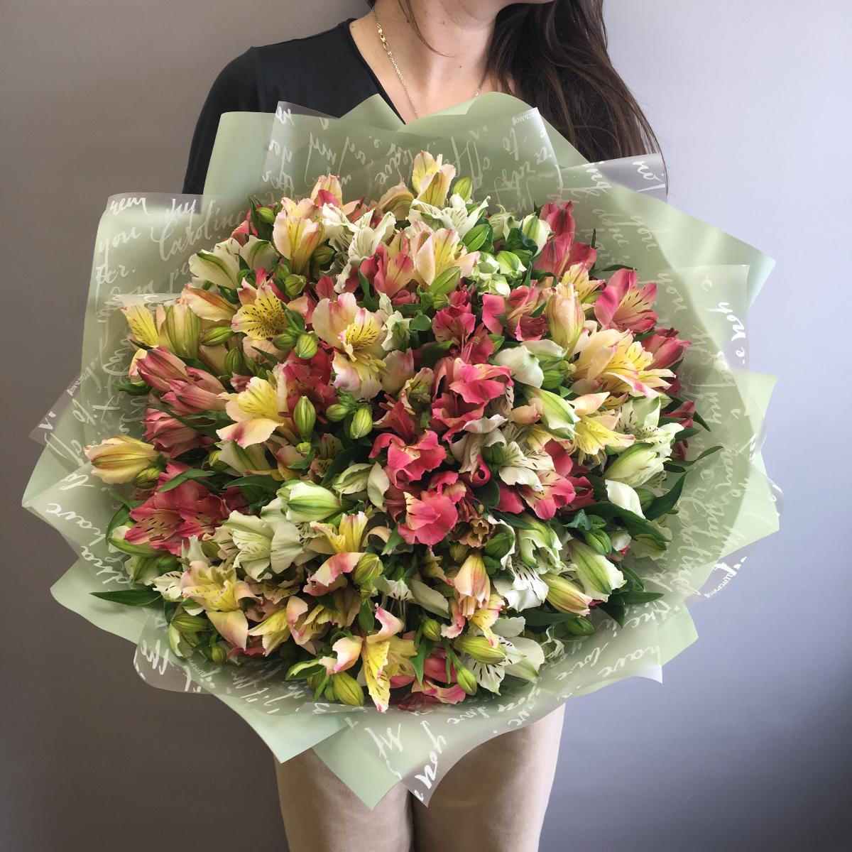 Разноцветные альстромерии