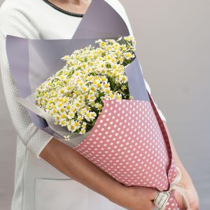 Романтика ромашек