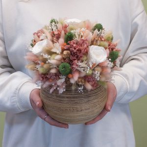 Сухоцвет Аоста