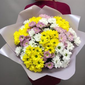 Микс кустовой хризантемы