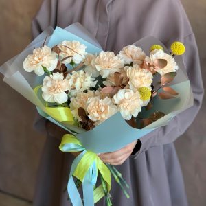 Пояс Венеры