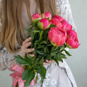 Пион Корал Шарм