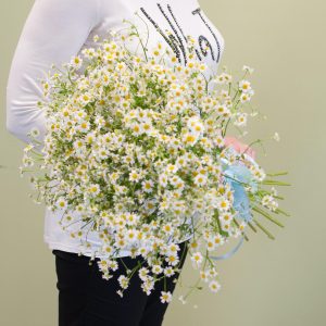 Ромашкино