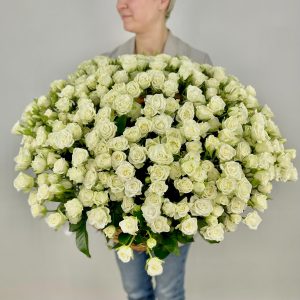 Сокровища Авалона