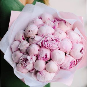 Пионы нежно-розовые