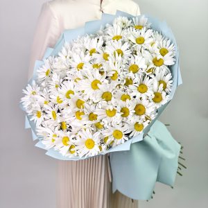 Летний сезон