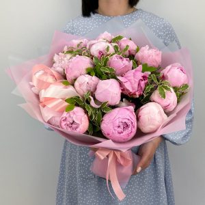 Пионы Сара Бернар 19 шт