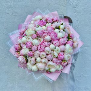 Пионовая радость