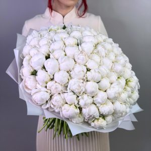 Ваше высочество