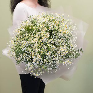 Ромашковые облака