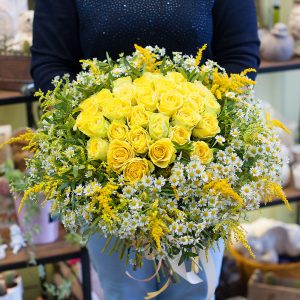 Солнечное сияние