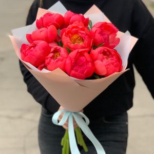 Пион Корал Сансет