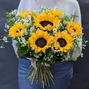 Золото Солнца