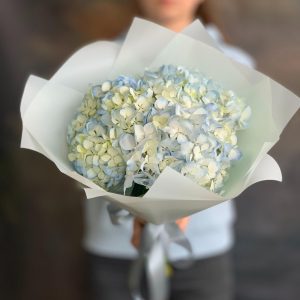 Тайный визит