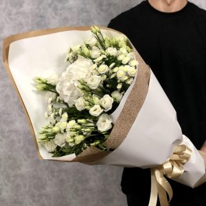 Белоснежная гладь