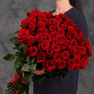 51 красная Эквадорская роза (70 см)