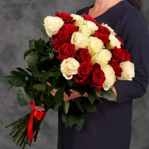 25 красных и белых Эквадорских роз 70см